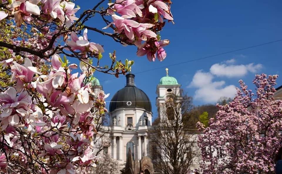 Hotel Vogelweiderhof Salzburg Bagian luar foto